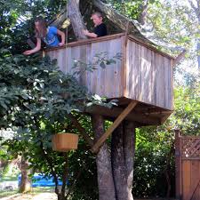 Let our treehouse design experts build you one of our affordable basic back yard tree houses. 11 Free Diy Tree House Plans
