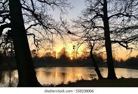 Jardin Massey: Over 816 Royalty-Free Licensable Stock Photos