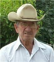 Charles Witt Obituary (2015)