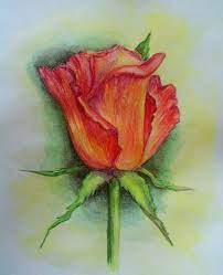 Vari tipi di fiori da colorare — mondo bimbo. Disegni Fiori Realistici Coloring And Drawing