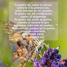 Te Quiero Justo Asi Como Eres Y Nada Mas Poemas De Amor Poema De Amor Bonitas Buenas Noches