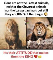 Motivation Inspirational Quotes With Images Inpirational Quotes Isnpirational Quotes