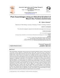 Image result for Raphidiocystis phyllocalyx