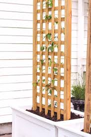 « ma » est accordé en genre et en nombre avec le mot « veste », comme c'est le même cas pour les autres adjectifs possessifs (mon remarque : 28 Projets Diy D Exterieur A Faire En 1 Week End Qui Sont Du Pur Genie