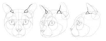 This will help you to get a feel for how the base form of the head can be turned, tilted and drawn at different angles. Sketchbook Original How To Draw Cats Monika Zagrobelna