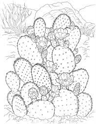 100 page coloring bundle in my shop: Printable Coloring Pages For Adults 15 Free Designs Everythingetsy Com Flower Coloring Pages Cactus Coloring Page Free Printable Coloring Pages