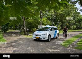 Image result for Tree Green 2018 Fleet