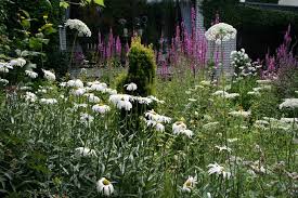 Der kleine garten am meer buch bei weltbild ch online bestellen unser garten vorher nachher der kleine horrorgarten amazon com wege in die selbstversorgung das kleine garten 1x1 der kleine garten ganzjahrig geoffnet picture of binokel kleine garten optisch vergrossern wie bekommt mein garten struktur gartenraume schaffen. Ein Kleiner Naturgarten