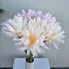 These are attractive plants to have all year, but the real. Japanese Epiphyllum Succulents Bonsai Simulation Rare Cactus Flower Artificial Plants Indoor Decorative Display Silk Flower Artificial Dried Flowers Aliexpress