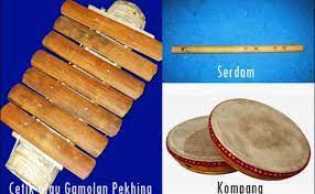 Cara memainkan alat musik tradisional ini yaitu dengan digesek seperti biola. 10 Alat Musik Tradisional Lampung Dan Cara Memainkannya Cute766