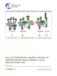 15.6k members in the starkid community. Lyn Sirna Inhibits Egfr Activation Downstream Phosphorylation Of C Met Download Scientific Diagram