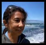 Environmental microplastics in the Pacific Northwest: Students  contributions to our understanding of their presence, problems, a