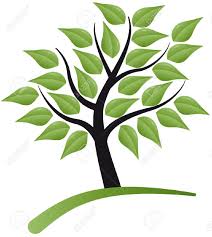 Alberi Stilizzati Cerca Con Google Grafici Creativita Mandala