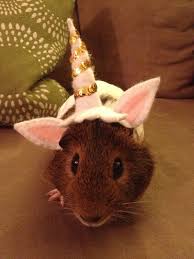 Pin On Love Photography