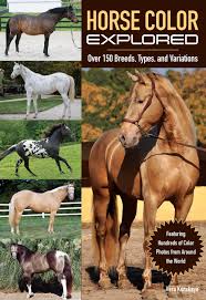 Dun is bay plus dun. Shade Shifters Why Horses Change Color Horse Nation