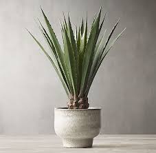 Grand Faux Agave Americana Plant Decor Indoor Beach House Rug Faux Olive Tree