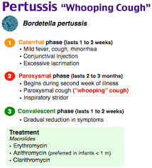 Whooping cough, also known as pertussis, is an extremely contagious respiratory infection caused by the bacteria bordetella pertussis. Rapid Review Pertussis Whooping Cough Rosh Blog