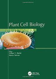 The plant cell is surrounded by a cell wall which is involved in providing shape to the plant cell. Plant Cell Biology Dashek William V Amazon De Bucher