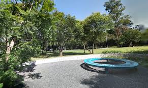 Image result for parque