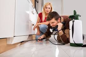 Pest control responsibility has been a source of controversy in recent years. Pest Control Do It Yourself Vs Professional Atlanta Pest Control