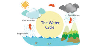 If you know, you know. The Wonderful Water Cycle Quiz Questions Proprofs Quiz