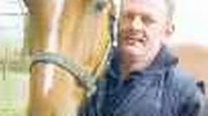 Healer craves horse haven