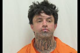 Man charged after allegedly leading police