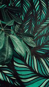 These free pictures are yours to enjoy for personal use. Plant Phone Wallpaper 1080x1920 021