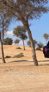 صور بر مع عبارات ضيم in 2021 country roads road snapchat quotes