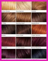 Red Hair Dye Colours Charts Archives