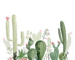 Everyone loves succulents, me included, so i tried my hand at a few watercolor cacti this morning and had so much fun. Laptop Wallpaper Cactus