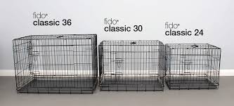 choosing the right sized dog crate crate training dogs