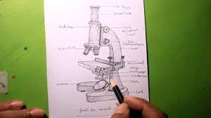See full list on easydrawingart.com How To Draw Microscope Step By Step Easy Microscope Drawing Youtube