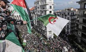 كيف احتفلت نجمات الفن بالذكرى الـ63 للثورة الجزائرية؟ | فوشيا : Ø¨Ù„Ø¯ Ø§Ù„Ù…Ù„ÙŠÙˆÙ† Ø´Ù‡ÙŠØ¯ Ø§Ù„Ø¬Ø²Ø§Ø¦Ø± ØªØ­ÙŠÙ‰ Ø°ÙƒØ±Ù‰ Ø§Ù„Ø´Ù‡Ø¯Ø§Ø¡ Ø§Ù„ÙŠÙˆÙ… ØªØ¶Ø­ÙŠØ§Øª Ø­ØªÙ‰ Ø§Ù„ØªØ­Ø±ÙŠØ± Ù…Ø¨ØªØ¯Ø§