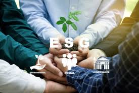 The role of sustainable investing in the Japanese stock market