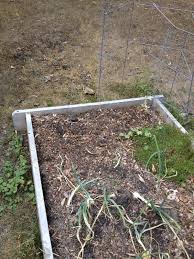 We did not find results for: Wanted Zucchini Robber The Impatient Gardener