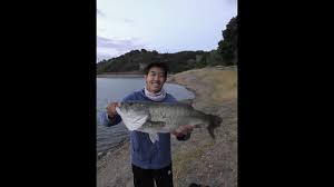 Maybe you would like to learn more about one of these? Massive 7 Lb Bass Cast To Catch Stevens Creek Reservoir Bass Fishing Youtube