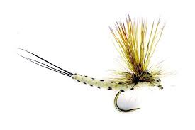 Dry fly patterns are tied out of any material that floats. Top 10 Dry Flies For Trout Adh Fishing