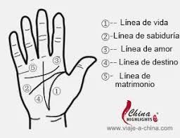 ¡la personalidad oculta en tu pulgar! Como Leer La Mano Quiromancia Significado Guia Gratis Para Interpretar Las Cinco Lineas De La Mano