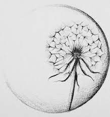 Dandelion Pencil Drawing Dandelion Drawing Dandelion Art Pencil Drawings