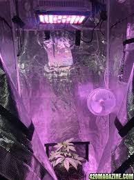 We did not find results for: Upgraded To A Black Diamond Perfect Sun Mini 420 Magazine