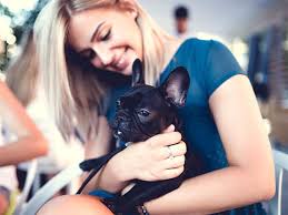 Ruhige hunde sind meist auch geduldiger. Anfangerhund Die 13 Besten Hunderassen Fur Anfanger