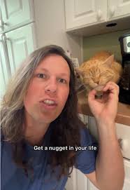 Adorable Dog and Cat Moments in the Kitchen