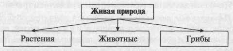 гдз по технологии 7 класс рабочая тетрадь синица фгос желтая Pourochnye Plany Po Okruzhayushemu Miru 3 Klass