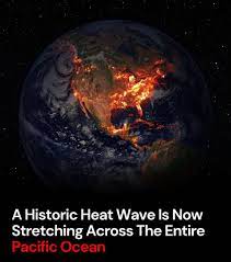 Pacific ocean heatwave returns bigger and hotter