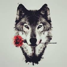 I was wondering if it was possible to send me the wolf step 1 drawing that i could use it in photoshop the picture i'm referring to is the one in black and white at the beginning slide. Wolf Black And White Drawing Novocom Top