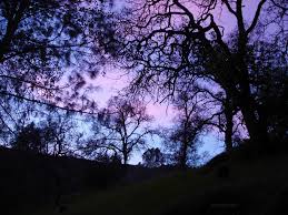 See more ideas about aesthetic, goth aesthetic, words. Pastel Goth Wallpapers Wallpaper Cave