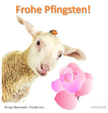 Euch allen frohe pfingsten 2017 (gehabt zu haben)! Frohe Pfingsten Ferienhaus Dieknust