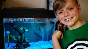 South Auckland fire crew rescue family fish