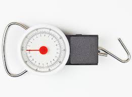 the 9 best luggage scales